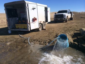 Dechlor 24 inch WL- South Dakota